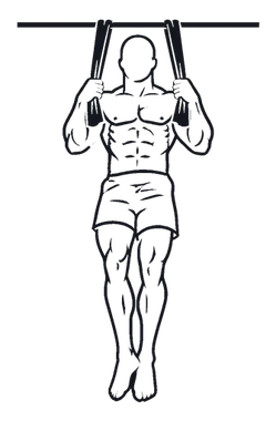 Towel Pull-up illustration