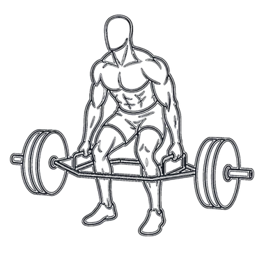 Trap Bar Deadlift, position 2 of 3