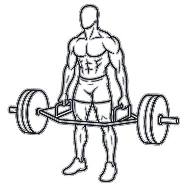 Trap Bar Deadlift, position 3 of 3
