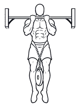 Weighted Chin-up illustration