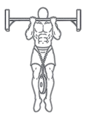 Weighted Chin-up, position 2 of 3