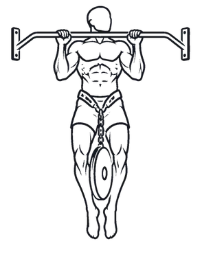 Weighted Pull-up illustration