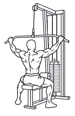 Wide-Grip Lat Pulldown illustration